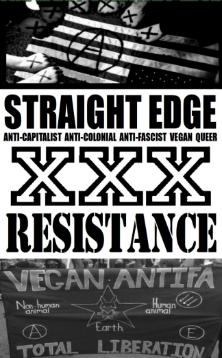 Straight Edge Resistance cover
