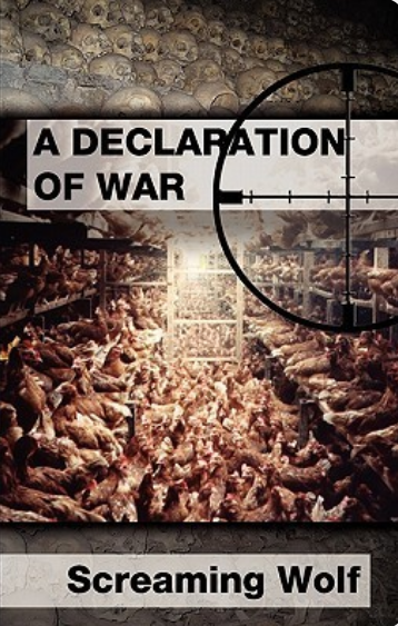 A Declaration of War cover