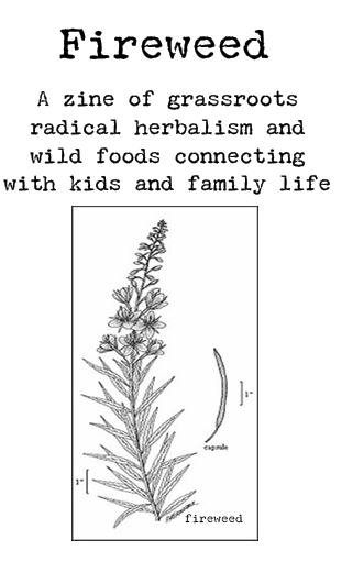 Fireweed Issue 1 cover