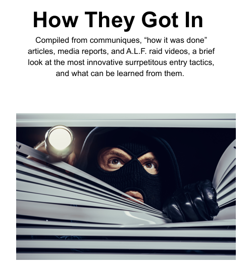 How They Got In cover