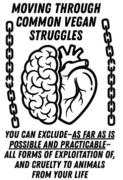 Moving Through Common Vegan Struggles cover