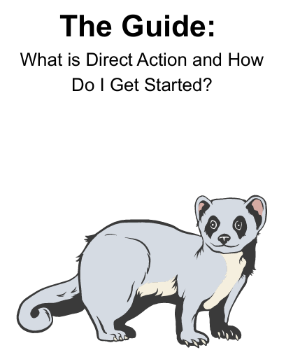 The Guide cover