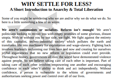 Why Settle For Less cover